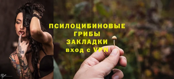 гидра Армянск