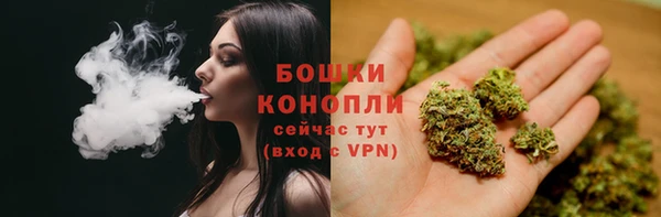 твердый Аркадак
