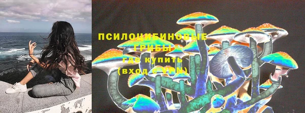 гидра Армянск