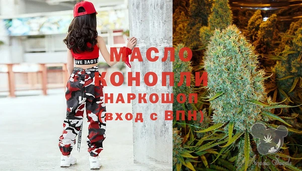 гидра Армянск