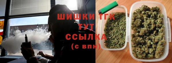 твердый Аркадак